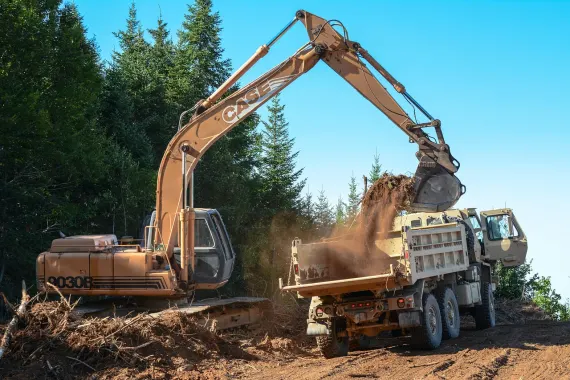 Casino Bonkers Bet Ënnerstëtzung